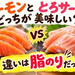 サーモンととろサーモンを並べたアイキャッチ画像